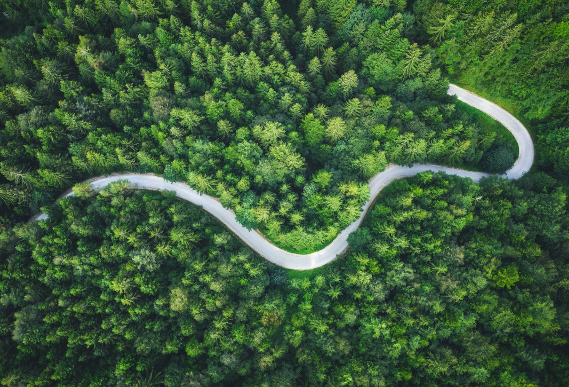 Camino hacia el siguiente horizonte de crecimiento